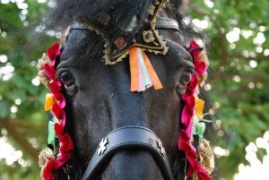 DSC_0526